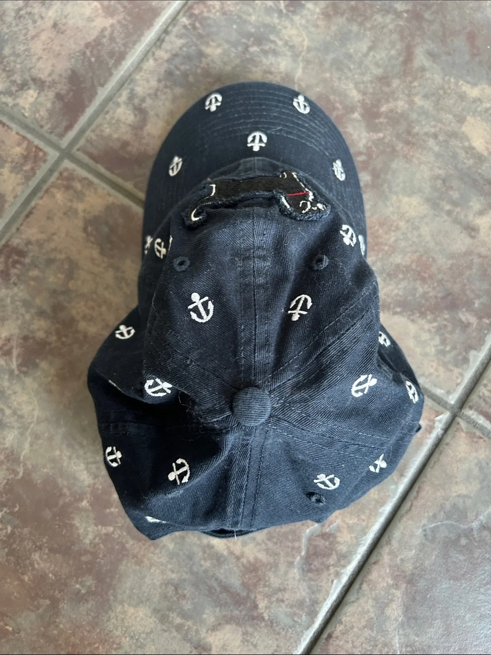 The Black Dog Ball Cap